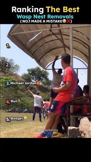Ranking Best Wasp Nest Removals🐝😭 ( Part 2 )
