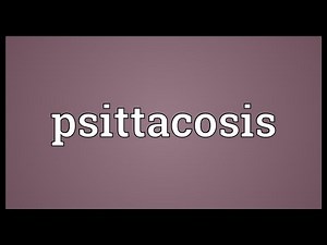 Psittacosis Meaning