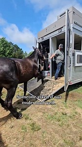 16K views · 432 reactions | Good loading skills & backing out of the trailer are requirements around here | Amber Ashburn | Facebook