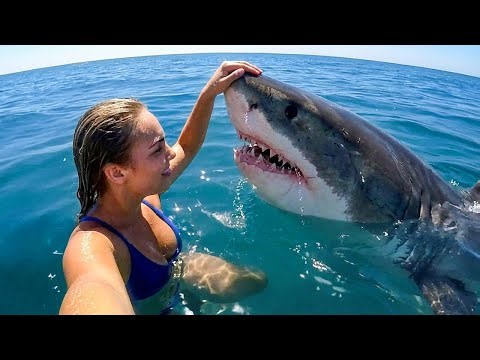 When Animal Distribution System Chooses You 😁 Funniest Animal Videos 2025