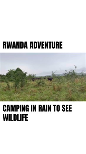 ENJOYING TOO BAD WEATHER LIGHTNING STORMS TO SEE WILDLIFE