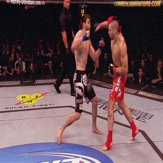 Carlos Condit MMA highlights mixtape