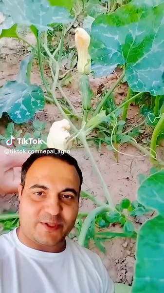 Exploring Farming in Nepal: A Journey Through Agriculture