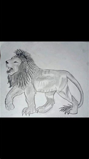 How to draw a LION easy | LION Drawing #lion #drawing#animals #art 🦁🦁🦁🦁🦁🦁🦁