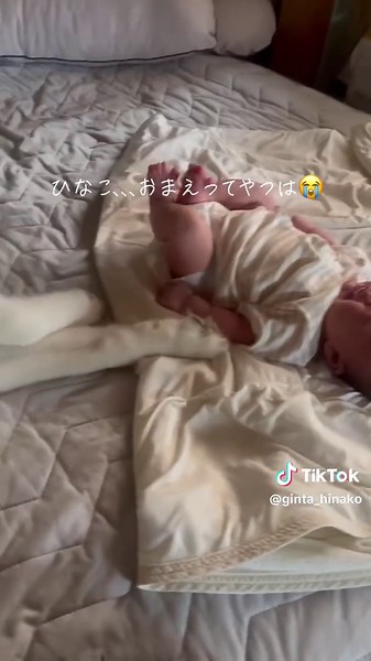 ハスキーと赤ちゃんの感動的な日常