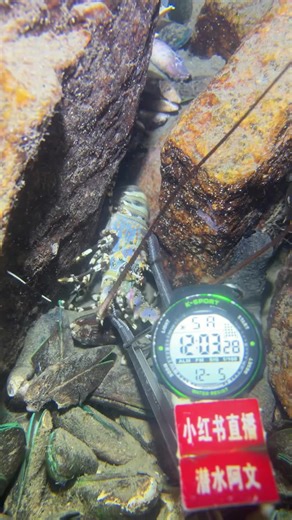 Exploring Deep Sea Fishing Adventures