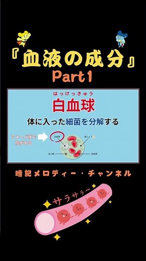 理科『血液の成分』short part1【 暗記メロディー】