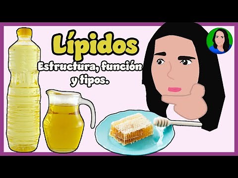 Lípidos - Biomolécula - Macromolécula