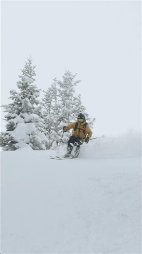Ski Powder ⛷️ #shorts #skiing