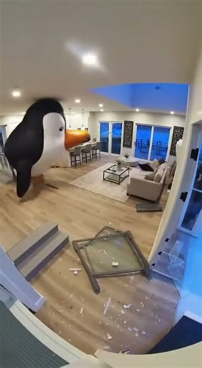 Giant Penguin Destroys Entire House!