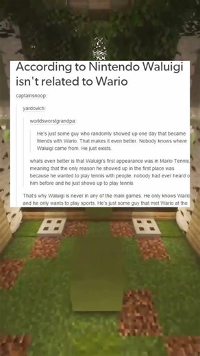 Who Really is Waluigi?