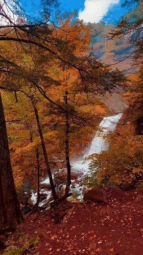 Check out this intense lower Kaaterskill Falls hike! 🌿🏞️ • Just 15 minutes from Hunter Mountain. Cascading in two tiers, a 260-foot wonder. • Hiking to the lower falls is a thrilling adventure you won't forget! • Access is free; $10 parking fee may apply depending on where you park & Restrooms available at parking areas. • The trail is challenging but worth every step! • Always remember, leave no trace - if you bring it, take it. A $250 fine for littering in the Catskills - preserve this natur
