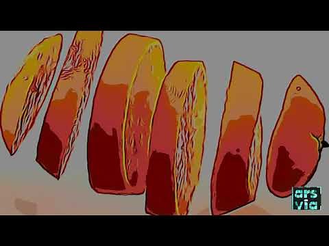 La Composicion Plastica