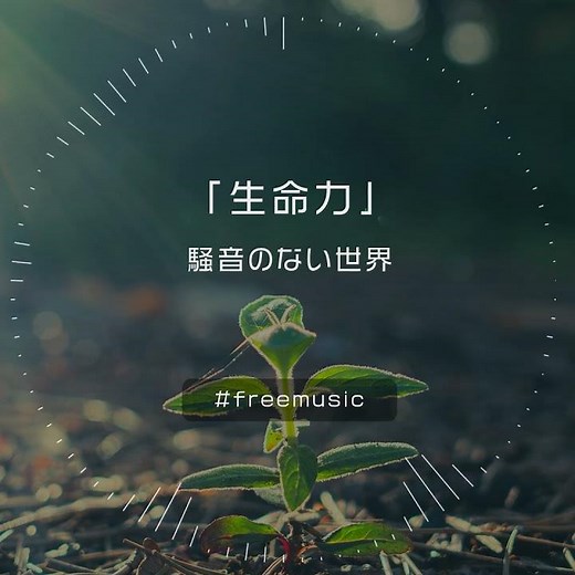 【Music】生命力 Short Ver. - 騒音のない世界 #Shorts