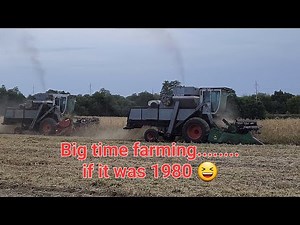 2023 Organic soybean harvest.