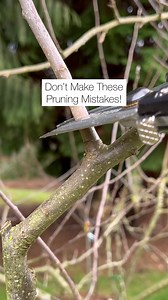 72K views · 1.3K reactions | Please contact a professional arborist...