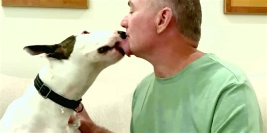 A real Trooper: Abandoned dog left for dead finds new, loving home year after Hurricane Milton