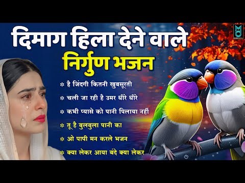 दिमाग हिला देने वाला निर्गुण भजन | Chetawani Bhajan 2025 | Nonstop Nirgun Geet | Nirgun Bhajan 2026