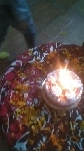 19 फ़रवरी 2026