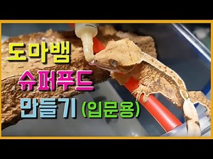 애완도마뱀 슈퍼푸드를 만들어보자(입문용)ㅣbreeder Fla.D 플라아빠. 크레스티드게코.
