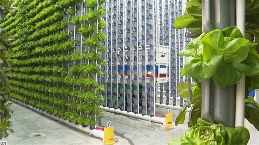 Video. Farming for a food secure future for all