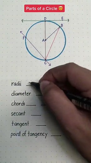 Exploring Different Parts of a Circle
