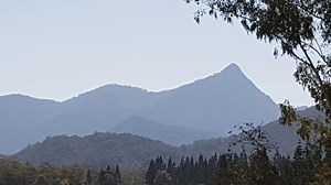 Mt Warning next on climb chopping block