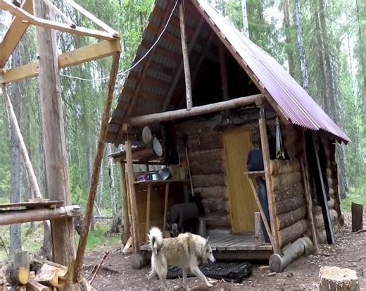 Living in a log house with two dogs and creating a garden in the wilderness. | Ｍｏｏｎ Ｍｏｏｎ