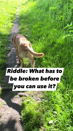 11K views · 40 reactions | Riddle #riddle #quiz #viral #reels | Rob And Elizabeth | Facebook