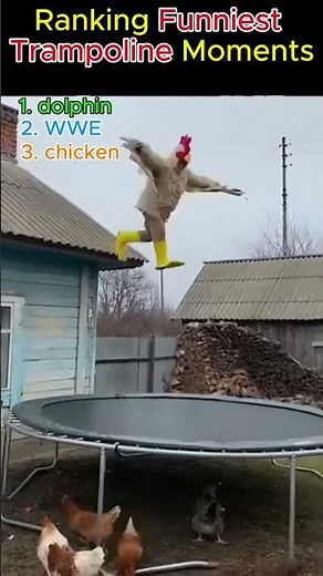Try Not to Laugh 😂 Funniest Trampoline Fails Ever! #shorts #funny #trampoline #viral #trending#lol