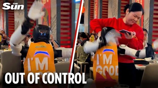 Out of control robot smashes up restaurant as waitress desperately attempts to drag it away | Jamie Wodetzki