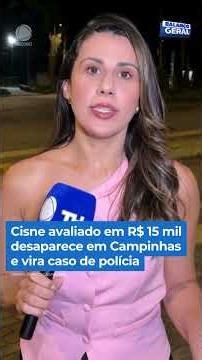Swan valued at R$15,000 disappears in Campinas and police investigate the case #BalançoGeral #Shorts