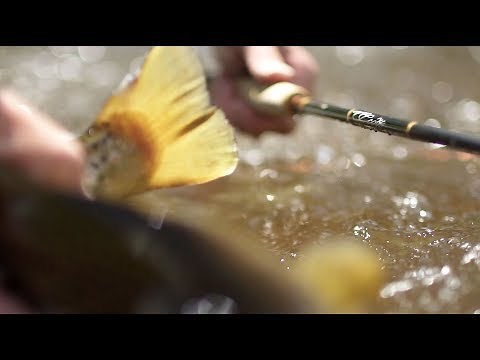 Scott Fly Rods G Series Review & Field Test