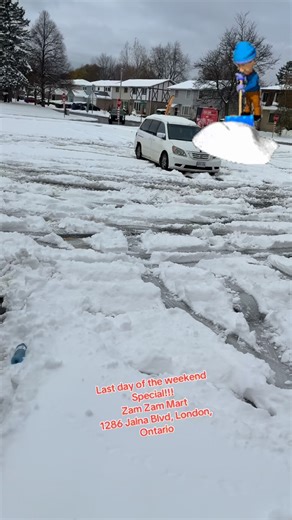 #flowers #londonlife #foryou 1286 jalna Blvd, London, Ontario | Zam Zam Mart