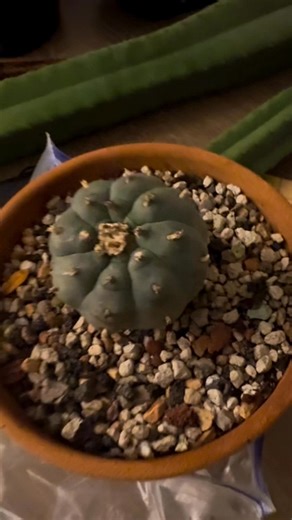 6K views · 174 reactions | Surrounded, grounded and protected by...