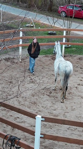 Dzień przed zawodami 🤗 Julita & Carerro 😍 #horse #horsegirl #equestrian #showjumping #stajniapodkasztanem