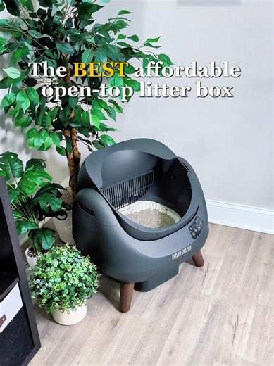 The Ultimate Affordable Open Top Litter Box
