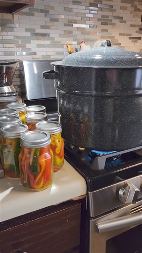 3.7K views · 41 reactions | A Farmgirl’s Kitchen started about seven years ago with a collection of heirloom recipes from our family farm, in Connecticut where we raised hogs, produced pure maple syrup, and grew much of our own food. Two cookbooks and after writing recipes for Food Lion, we now publish all recipes exclusively on our website. | A Farmgirl's Kitchen | Facebook