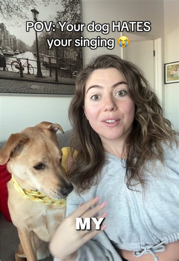 Humorous Singing Moments with Dogs