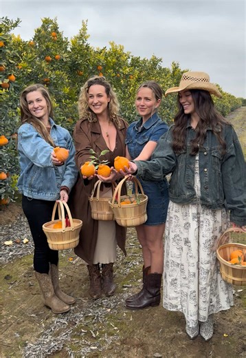 thesqueezedjuice on TikTok