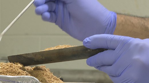 These P.E.I. researchers are using sawdust to clean dirty water