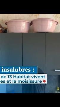 Unsanitary housing: 13 Habitat tenants live amidst cracks and mold