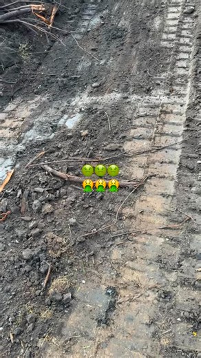 Spencer Lee Arredondo on Instagram: "If they don’t look like this…#lonestarlithics #texasarrowheads #ancient #texas #history"