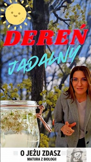 Dereń jadalny: Dlaczego kwitnie „na golasa”? 🌿 Strategia Mistrza przetrwania! #maturazbiologii
