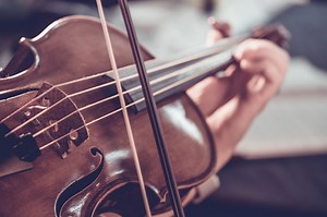 How Violins are Made - Discovery UK