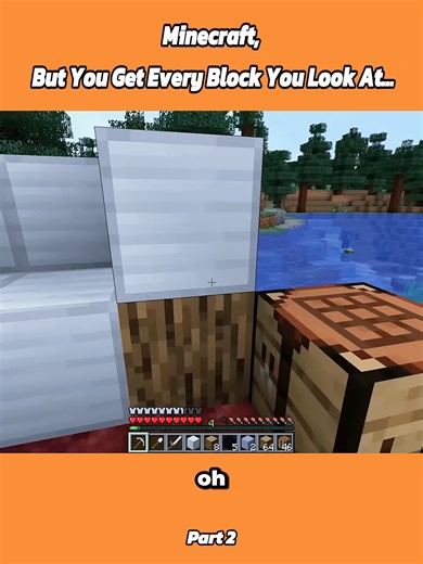 Minecraft: Getting Every Block You See! #2