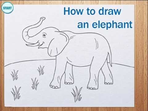 How to draw elephant