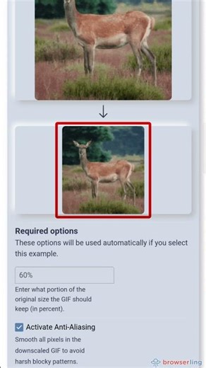 How to Reduce GIF Size in Just One Click. GIF Downscaler