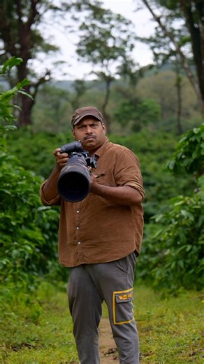 78K views · 3.7K reactions | Wildlife living freely in the heart of India’s forests. Pure moments, untouched beauty, and a reminder of why these lands must be protected. Enjoy the view and save them. Indian wildlife, forests of India, wildlife conservation, save wildlife, nature lovers India, wildlife photography India, protect forests, biodiversity India #FaisalMagnet #nikonindiaofficial #wildnelliyampathi | Faisal Magnet | Facebook