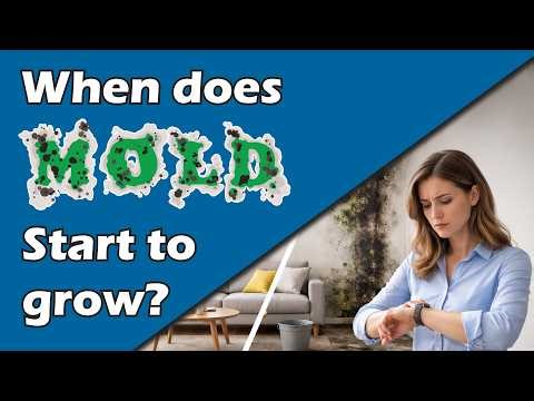 When does Mold start to grow?